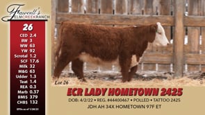 Lot #26 - ECR LADY HOMETOWN 2425