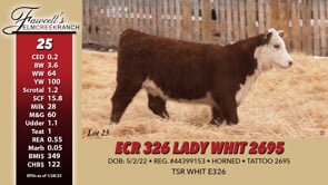 Lot #25 - ECR 326 LADY WHIT 2695