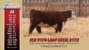 Lot #22 - ECR 9170 LADY EXCEL 2172