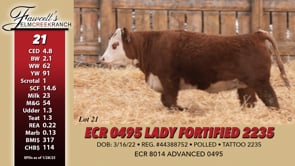 Lot #21 - ECR 0495 LADY FORTIFIED 2235