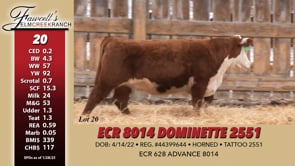 Lot #20 - ECR 8014 DOMINETTE 2551