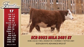 Lot #17 - ECR 8923 MILA 2481 ET