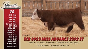 Lot #15 - ECR 8923 MISS ADVANCE 2392 ET