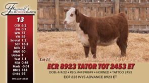 Lot #13 - ECR 8923 TATOR TOT 2453 ET
