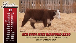 Lot #12 - ECR 8454 MISS DIAMOND 2230