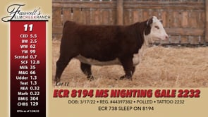 Lot #11 - ECR 8194 MS NIGHTING GALE 2232