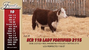 Lot #10 - ECR 11B LADY FORTIFIED 2115