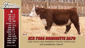 Lot #6 - ECR 7586 DOMINETTE 2670