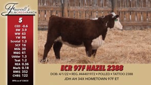 Lot #5 - ECR 97F HAZEL 2388