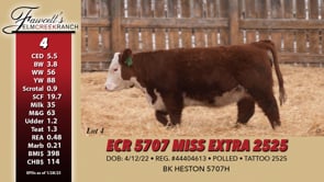 Lot #4 - ECR 5707 MISS EXTRA 2525