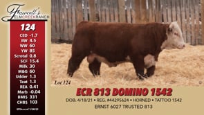 Lot #124 - ECR 813 DOMINO 1542