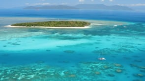 Ocean Free Sail to  the Great Barrier & Green Island
