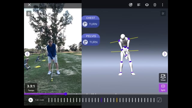 Play swing video