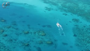 Ocean Free Sail to Green Island and the Great Barrier Reef