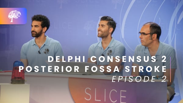 Posterior Fossa Stroke - Ep.2/2