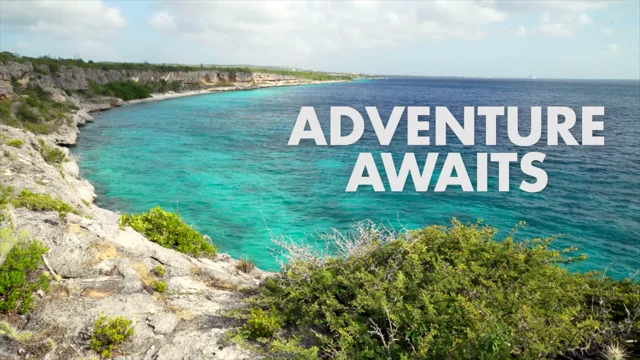 Discovering Hidden Gems: Bonaire Investment Opportunities