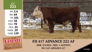 Lot #222 - FH 417 ADVANCE 222 AF