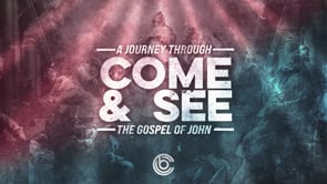 WK 4 | Come And See: The Light | Ronald Sanchez