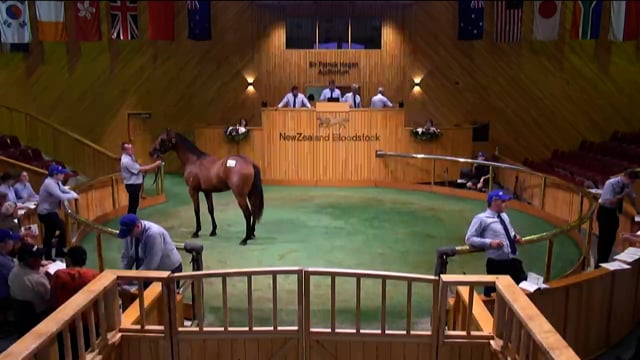 Karaka 2023 - Book 2 - Day Two - Lots 904 - 912
