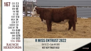 Lot #167 - R MISS ENTRUST 2822
