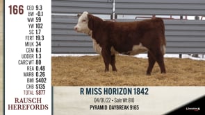 Lot #166 - R MISS HORIZON 1842
