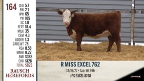 Lot #164 - R MISS EXCEL 762