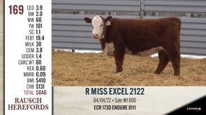 Lot #169 - R MISS EXCEL 2122