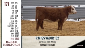 Lot #171 - R MISS VALOR 162