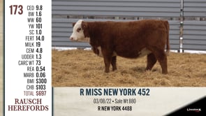 Lot #173 - R MISS NEW YORK 452