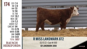 Lot #174 - R MISS LANDMARK 872