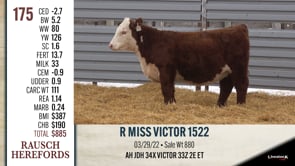 Lot #175 - R MISS VICTOR 1522