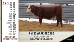 Lot #180 - R R MISS WARRIOR 2302