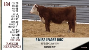 Lot #184 - R MISS LEADER 1002