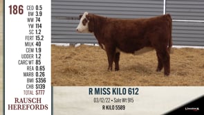 Lot #186 - R MISS KILO 612