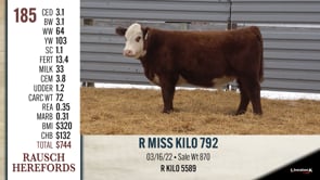 Lot #185 - R MISS KILO 792