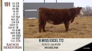 Lot #191 - R MISS EXCEL 772