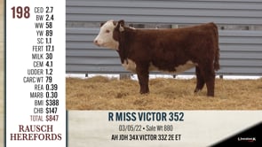 Lot #198 - R MISS VICTOR 352