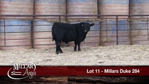 Lot #11 - MILLARS DUKE 284