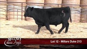 Lot #12 - MILLARS DUKE 213
