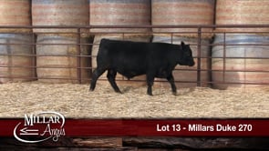 Lot #13 - MILLARS DUKE 270