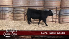 Lot #15 - MILLARS DUKE 28