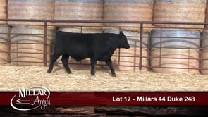 Lot #17 - MILLARS 44 DUKE 248