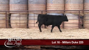 Lot #16 - MILLARS DUKE 225