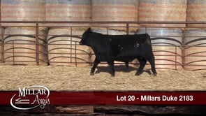 Lot #20 - MILLARS DUKE 2183
