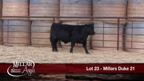 Lot #23 - MILLARS DUKE 21