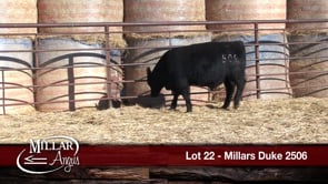 Lot #22 - MILLARS DUKE 2506