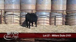 Lot #27 - MILLARS DUKE 2101
