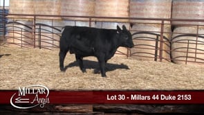 Lot #30 - MILLARS 44 DUKE 2153
