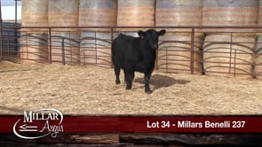Lot #34 - MILLARS BENELLI 237