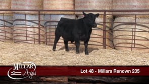 Lot #48 - MILLARS RENOWN 235